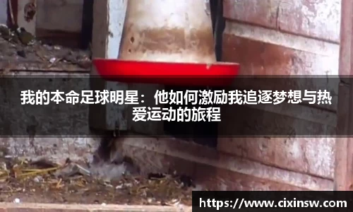 万博max体育官方网站