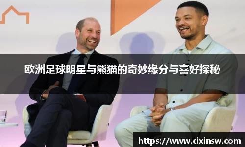 万博max体育官方网站