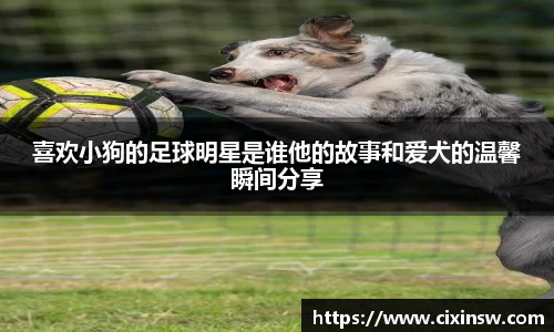 万博max体育官方网站